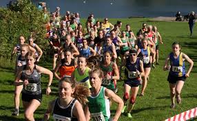 Image result for Eryri Harriers Running Club