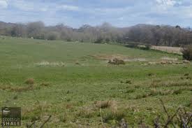 Image result for Harrysmuir Bowling Club