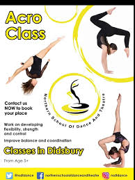 Image result for Elements Acro