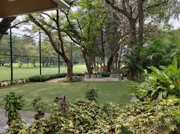 Image result for Kingfisher Badminton Club