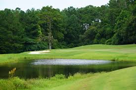 Image result for Southwood Golf Club
