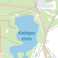 Attēlu rezultāti vaicājumam “Lycogala succineum”