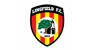 Image result for Lingfield Cricket Club