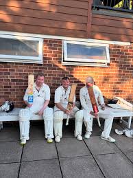 Image result for Yoxford Cricket Club
