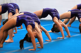 Image result for Harriers Acrobatic Gym Club