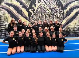 Image result for Chiltern Cheetahs American Football Club