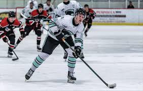 Image result for Pentland Panthers