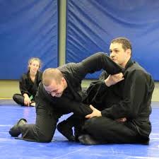 Image result for Bujinkan Dojo Seijitsu