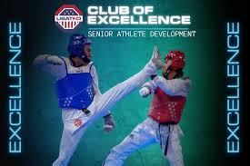 Image result for Taekwondo Athletes Program USA
