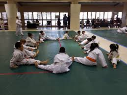 Image result for Exmouth Vikings Judo Club