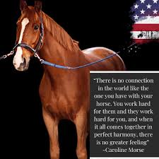 Image result for Windrush Vaulting Group