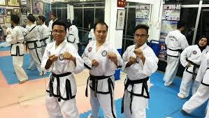 Image result for Synergy Tae Kwon Do