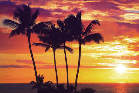 Image result for sunset