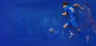 Image result for Manor Colts Youth Football Club