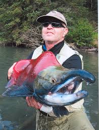 Image result for Oncorhynchus nerka