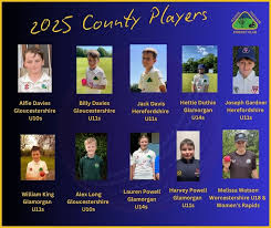 Image result for Aston Ingham Cricket Club