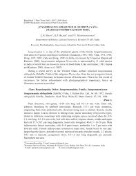 Attēlu rezultāti vaicājumam “Jungermannia sphaerocarpa sporophyte”