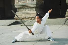 Image result for kung fu