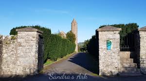 Image result for St Patrick`s Gac, Saul