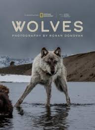 Image result for Weston Rhyn Wolves