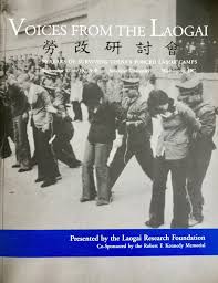 Image result for Laogai camps