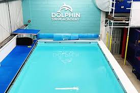 Image result for Grimsby Alexander Dolphins Swimming Club