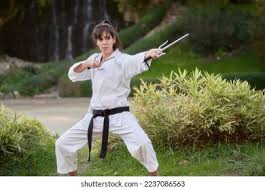 Image result for Sai Martial Arts
