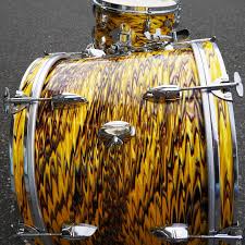 Attēlu rezultāti vaicājumam “Diderma radiatum young”