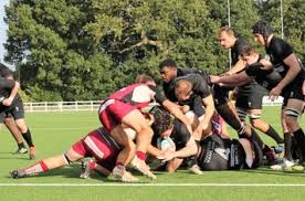 Image result for Amersham & Chiltern Rugby Football Club