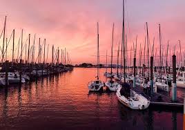 Image result for Dovey Yacht Club