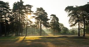 Image result for Newark Golf Club Co Ltd