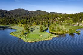 Image result for Bellingham Golf Club