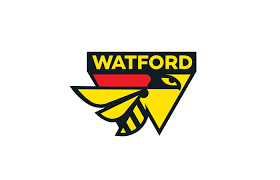 Image result for Watford Rugby Football Club