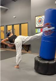 Image result for Precision Martial Arts