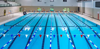Image result for Borough Of Waltham Forest Swimming Club