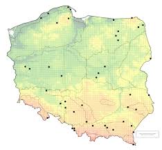 Attēlu rezultāti vaicājumam “Acalypta carinata”
