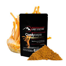 Attēlu rezultāti vaicājumam “Cordyceps polyarthra”