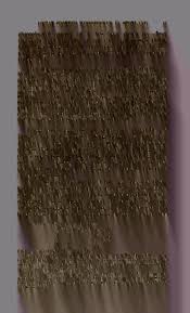 Attēlu rezultāti vaicājumam “Physarum braunianum young”