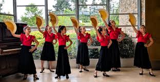 Image result for Flamenco Dance School