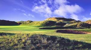 Image result for Hartlepool Gc