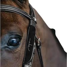 Image result for scheuklappen