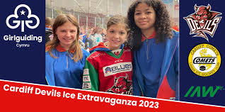 Image result for Cardiff Comets Ladies Ice Hockey