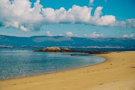 Image result for selvatici tehron