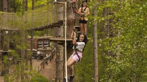 Image result for The Go Ape Experience (Delamere Forest)