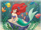 Ariel &amp; Friends - The Little Mermaid Wallpaper (223086) - Fanpop