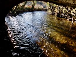 Image result for Dulverton Angling Association