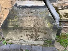 「ソフィア・フォレスター」の画像検索結果