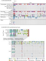 Image result for Uta Matrix