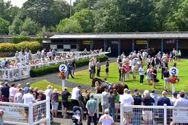 Image result for Newton Abbot Somersaults Gc