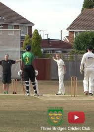 Image result for Three Bridges Cricket Club